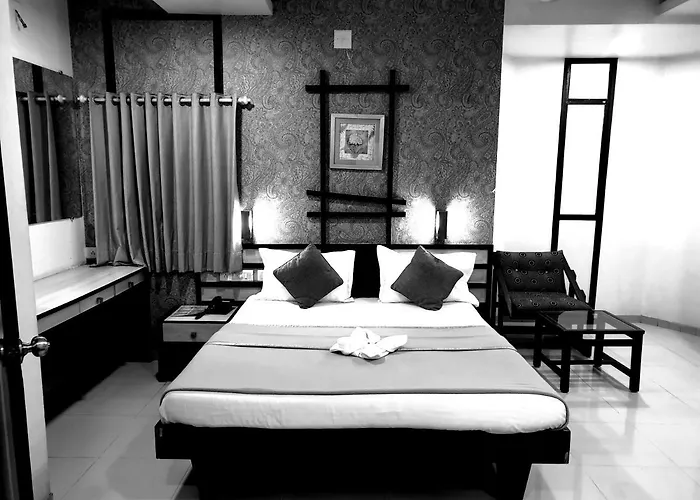 Hotel Airport Plaza Ahmedabad